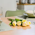 Innpisarentals - Cozy Flat By The Airport