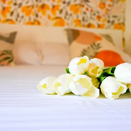 Innpisarentals - Cozy Flat By The Airport Lejlighed